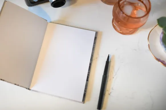 Tortuga Cazino Cazinou Suport